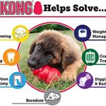 Kong Extreme Review