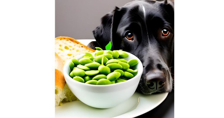 Can Dogs Eat Edamame?