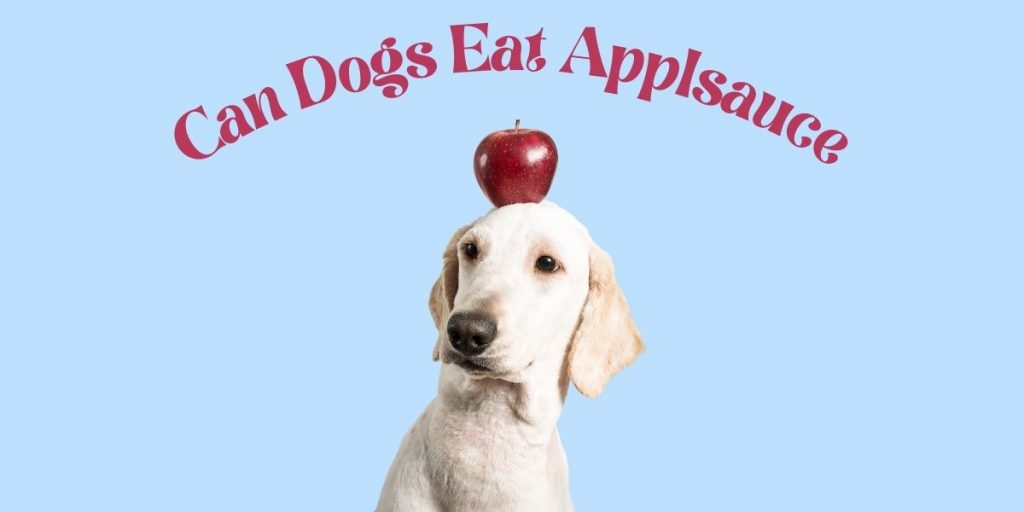 Can Dogs Safely Eat Applesauce? Happy K9 Services