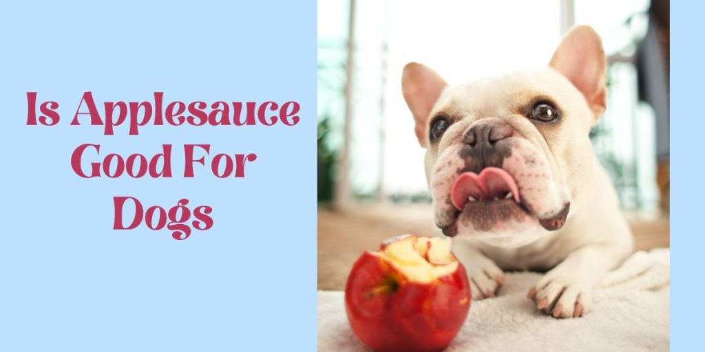 Can Dogs Safely Eat Applesauce? Happy K9 Services