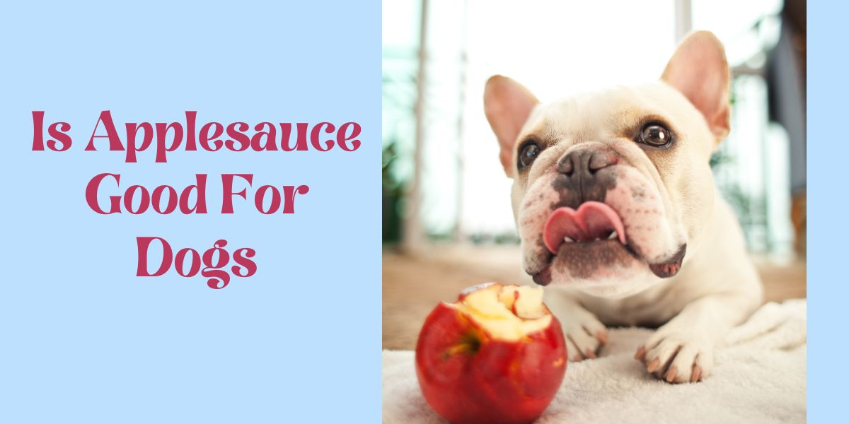 Photo inspiration: Can Dogs Safely Eat Applesauce Photo Inspiration