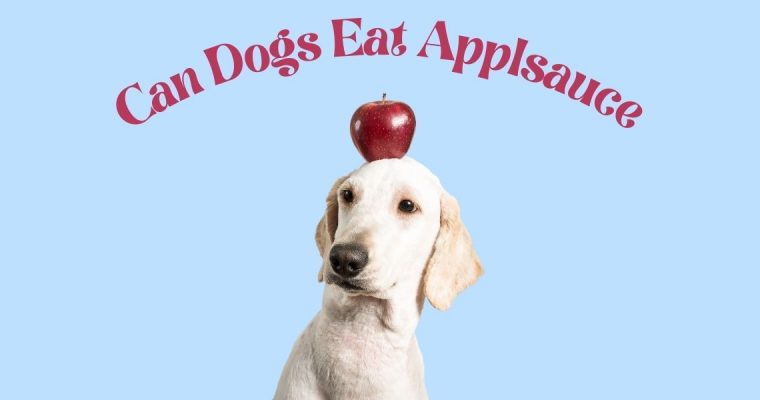 Can Dogs Safely Eat Applesauce?