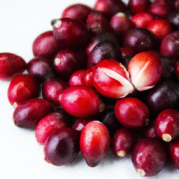 Can Dogs Eat Cranberries