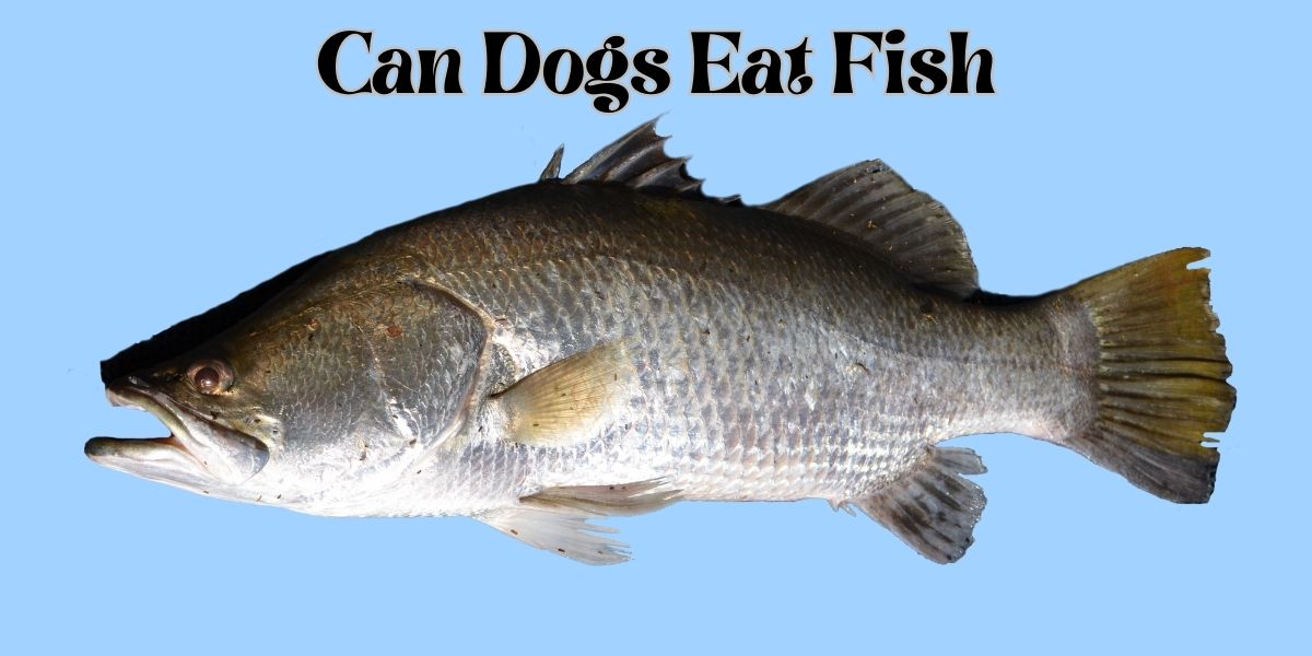 can dogs eat fish