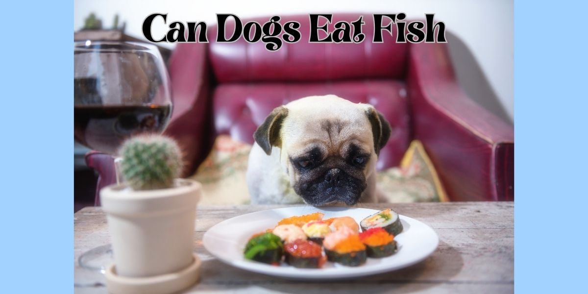 Can Dogs Eat Fish?