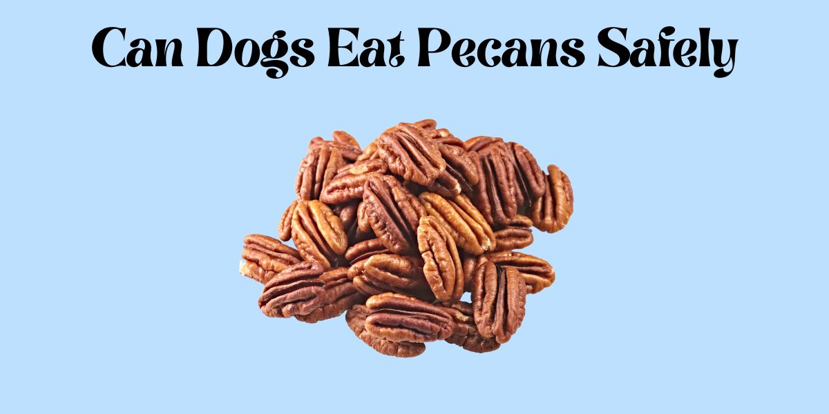 Can Dogs Eat Pecans Safely