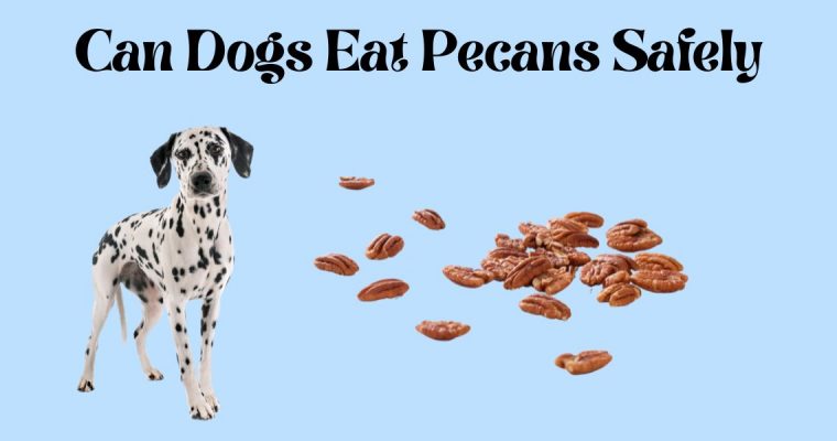 Can Dogs Eat Pecans Safely?