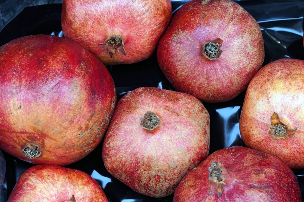 Can Dogs Eat Pomegranate