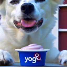 Can Dogs Eat Yogurt