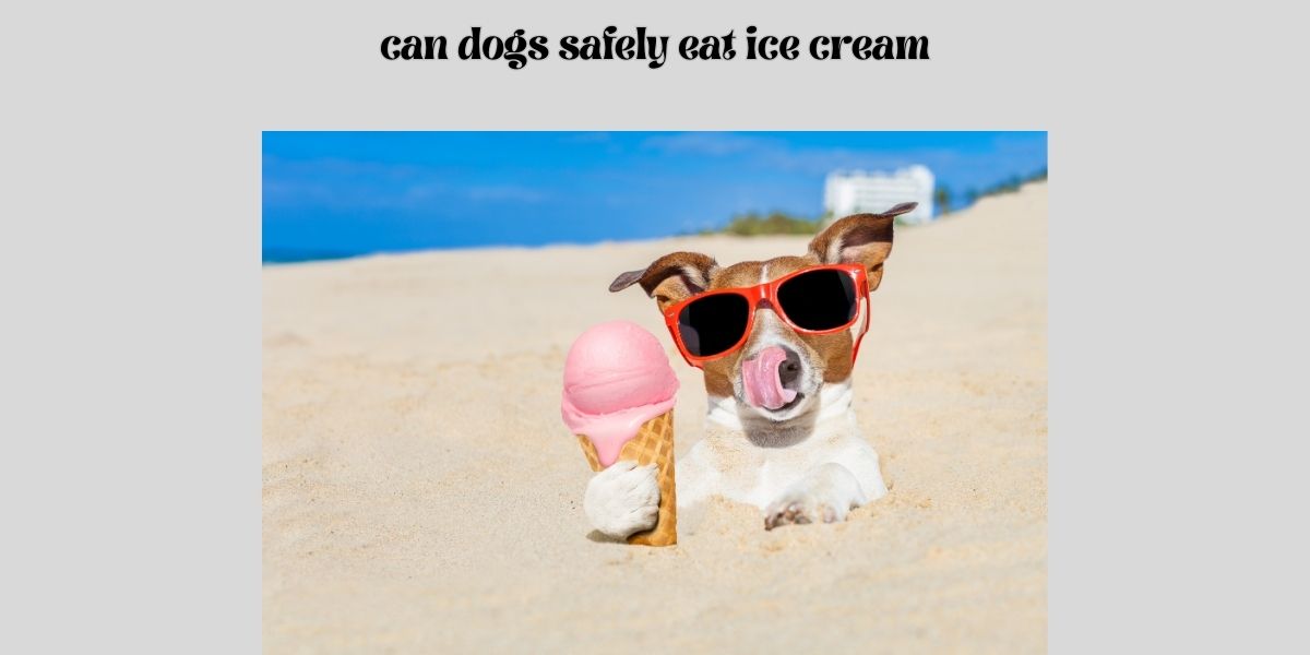 can dogs safely eat ice cream