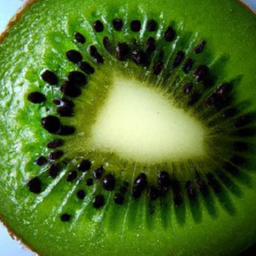 Can Dogs Safely Eat Kiwi?