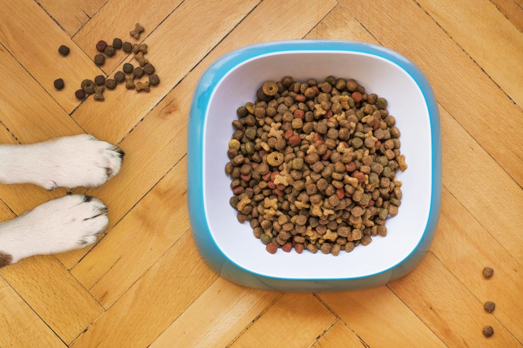 Can Dogs Safely Eat Papaya?