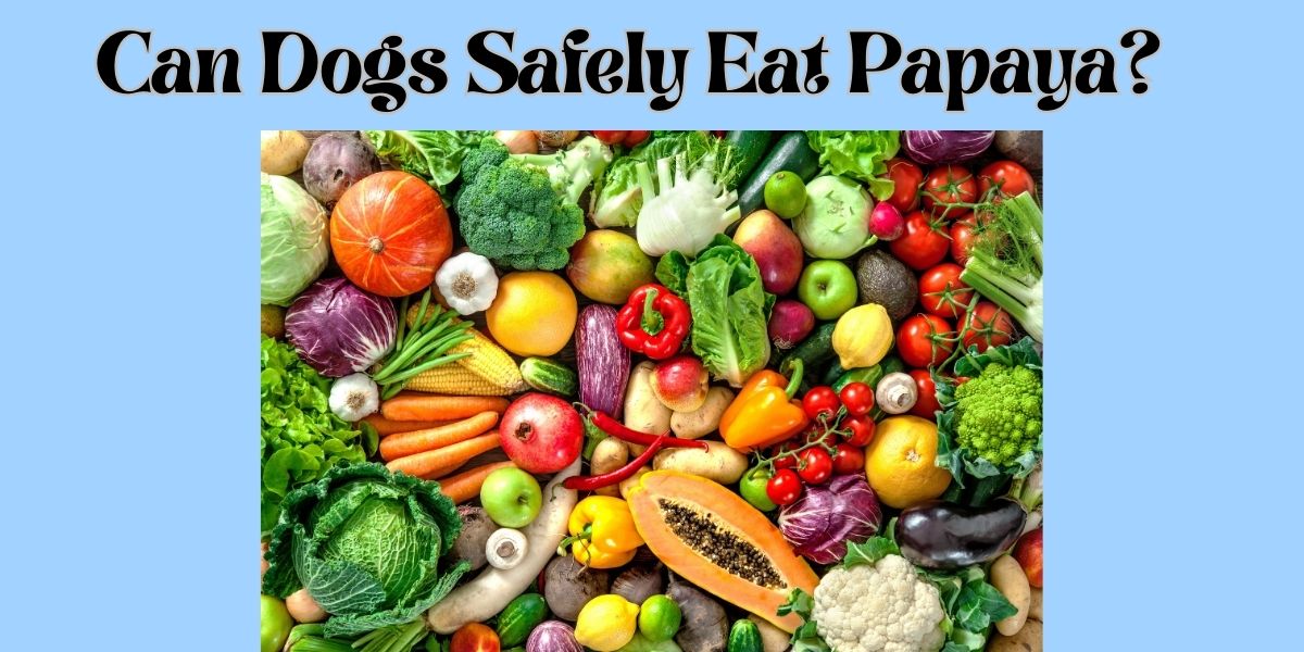 Can Dogs Safely Eat Papaya