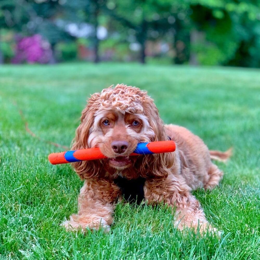 Chuckit! Ultra Fetch Stick Outdoor Dog Toys, for All Breed Sizes Medium