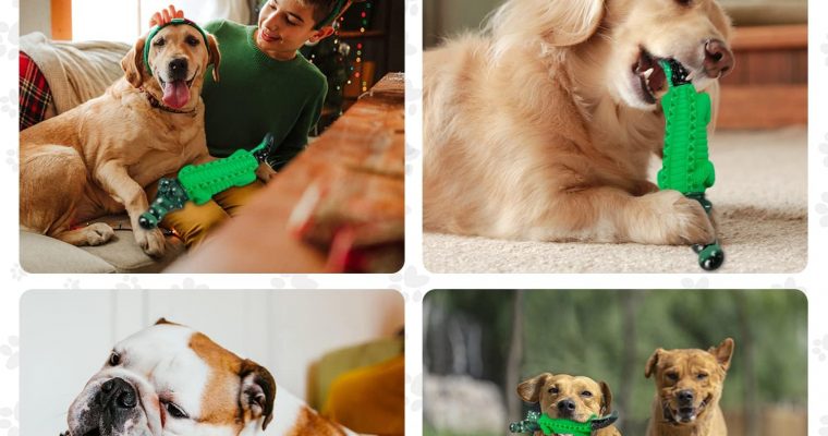 Dog Chew Toy Review – Alligator Dog Toys for Aggressive Chewers