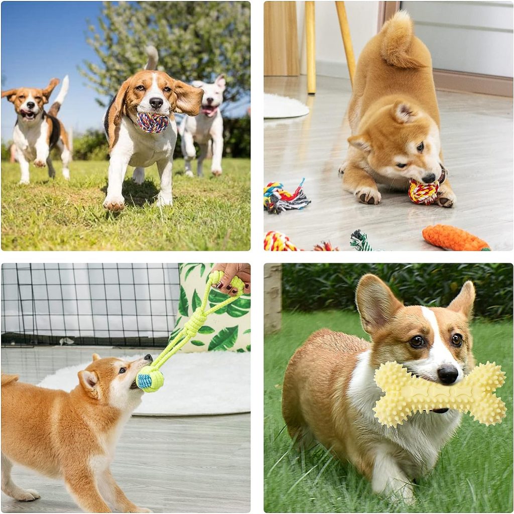 Dog Chew Toys 20 Pack Indestructible Pet Interactive Tug of War Rope Toys for Puppies Chewers, Small Dogs Durable Squeaky Toys for Boredom Chew Teething