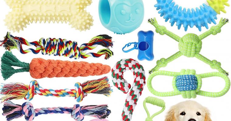 Dog Chew Toys 20 Pack Indestructible Pet Interactive Tug of War Rope Toys Review