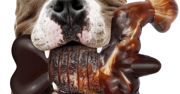 MOXIKIA Tough Dog Bone Chew Bacon Flavored Indestructible Dog Toys Review