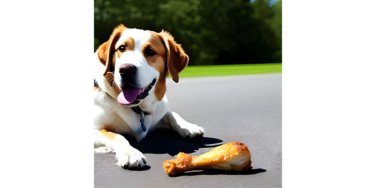 should dogs eat chicken bones