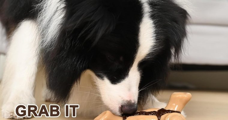 Indestructible Dog Chew Toys Review Chewssor Aggressive Chewers Large Breed