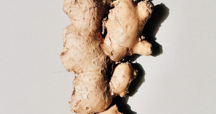 Is Ginger Safe for Dogs?