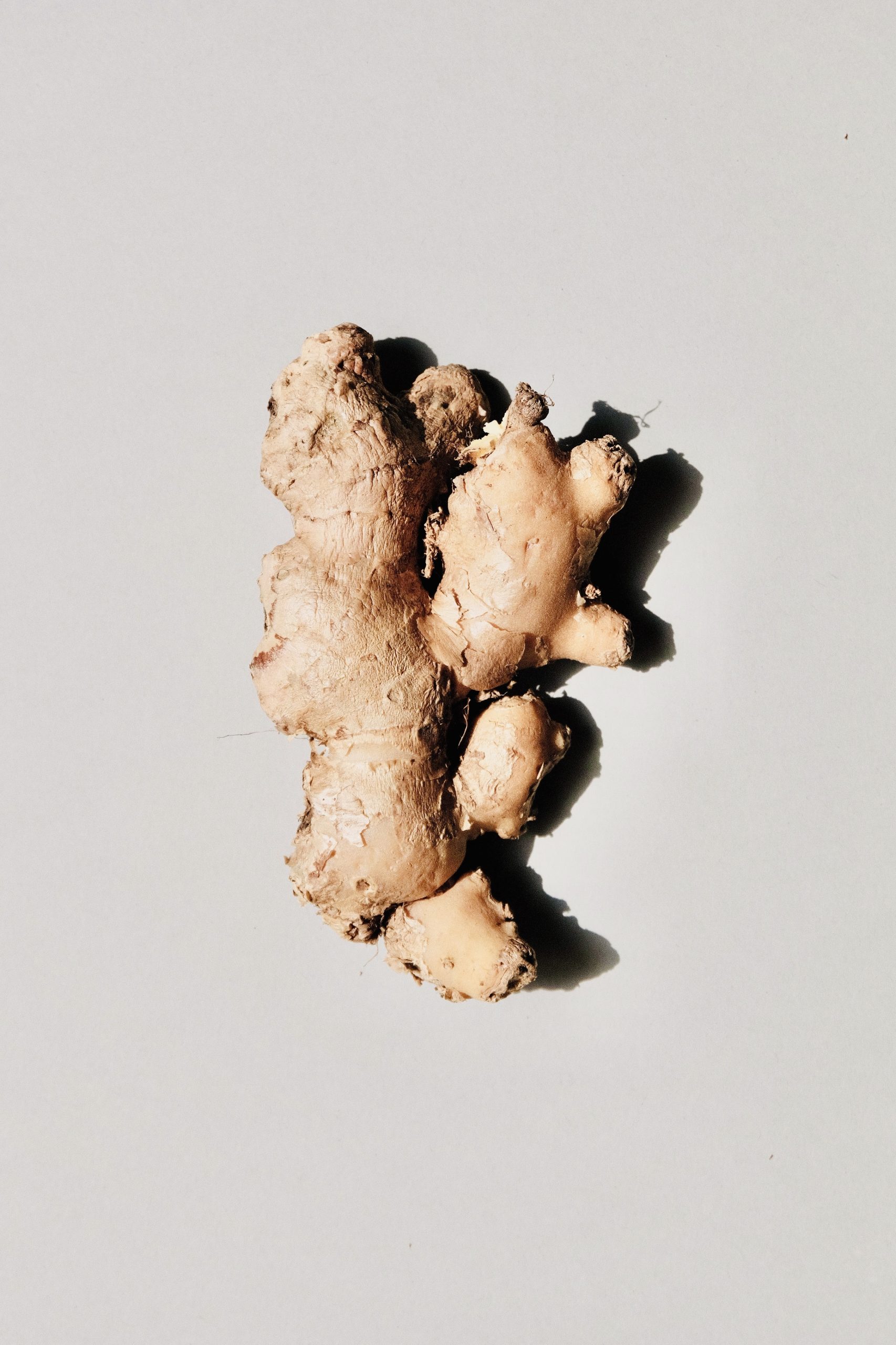 Is Ginger Safe for Dogs?