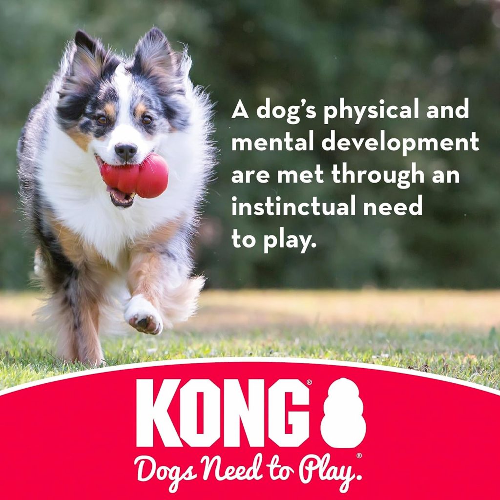 KONG Flyer - Tough Dog Toy for Aggressive Chewers - Durable Rubber Flying Disc Dog Toy - Outdoor Dog Toy for Fetch - Dog Chase Toy with Dynamic Rebound Features - Large Dogs