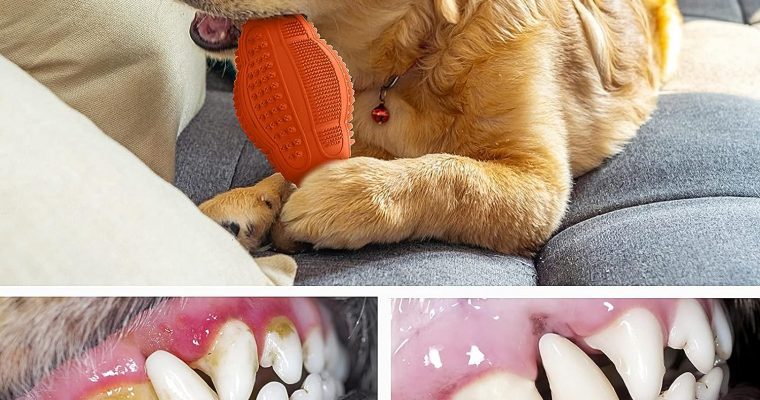 LUKITO Dog Chew Toys 3 Pack For Aggressive Chewers Review