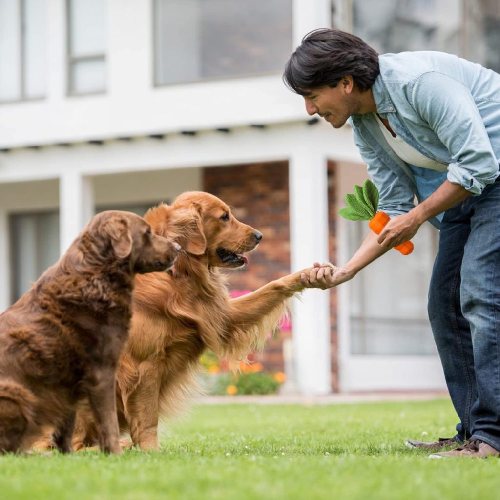 MewaJump Dog Squeaky Chew Toys for Aggressive Chewers, Rubber Carrot Dog Toys for Training and Cleaning, Durable Interactive Tough Dog Toy for Puppy Medium Dogs