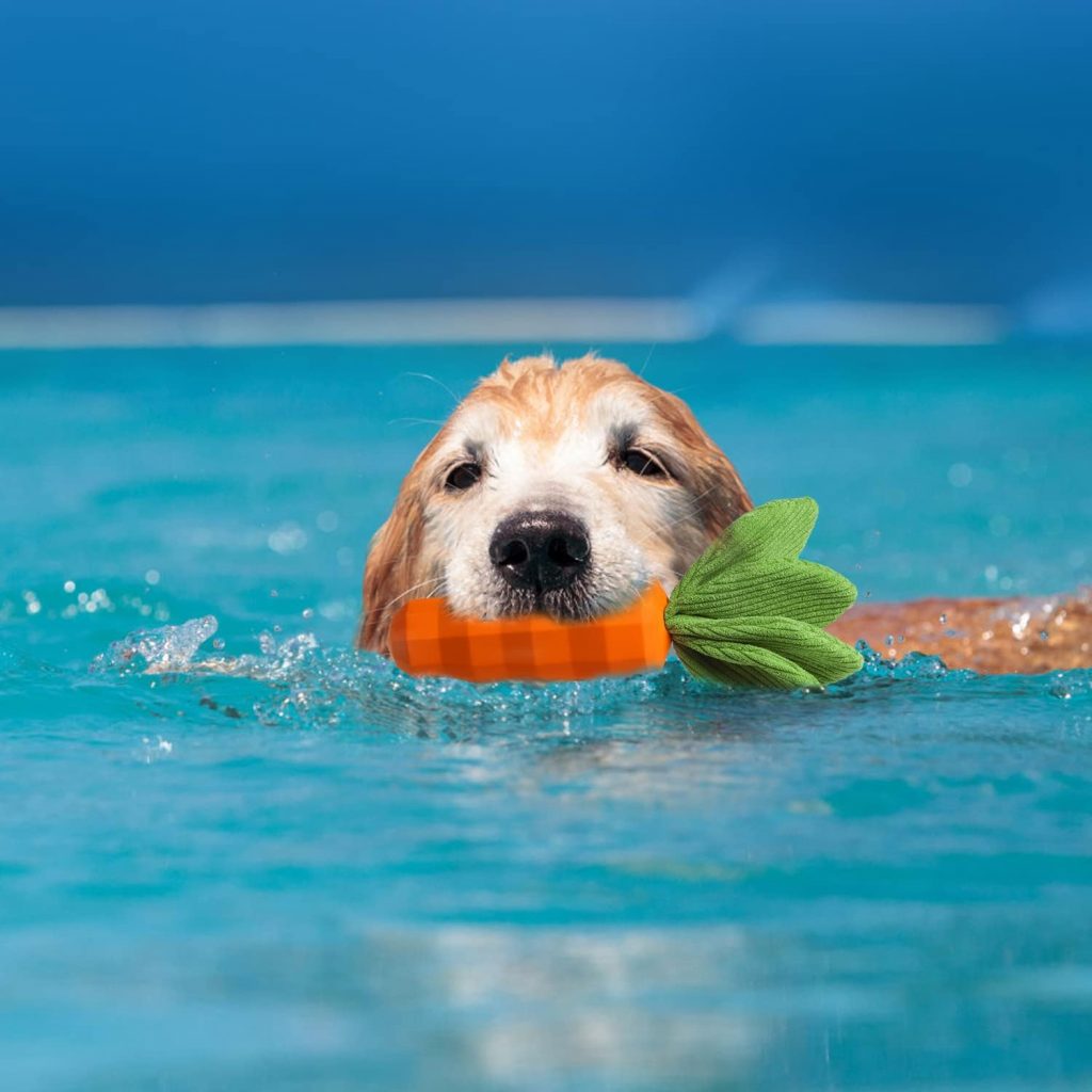 MewaJump Dog Squeaky Chew Toys for Aggressive Chewers, Rubber Carrot Dog Toys for Training and Cleaning, Durable Interactive Tough Dog Toy for Puppy Medium Dogs
