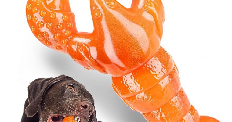 M&MKPET Indestructible Dog Toy Review Dog Toys For Aggressive Chewers