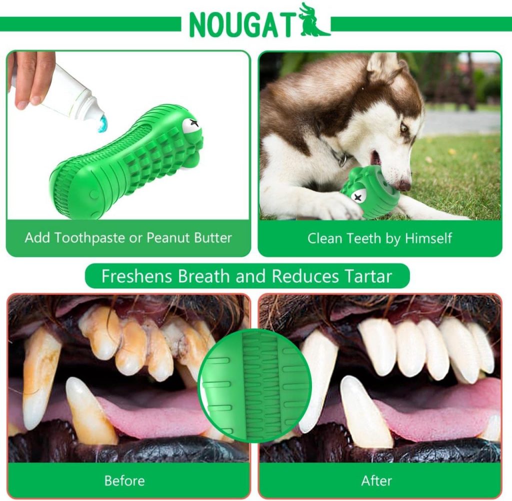 NOUGAT Tough Dog Toys for Aggressive Chewers, Squeaky Dog Chew Toys Natural Rubber Milk Flavor for Medium Large Dogs (Green, Crocodile)