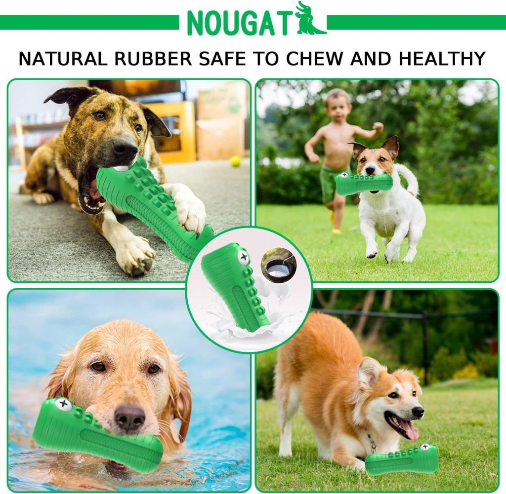 NOUGAT Tough Dog Toys for Aggressive Chewers, Squeaky Dog Chew Toys Natural Rubber Milk Flavor for Medium Large Dogs (Green, Crocodile)