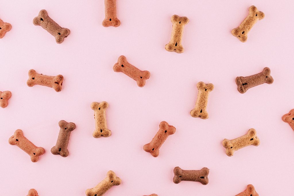 Safe and Healthy Foods for Dogs