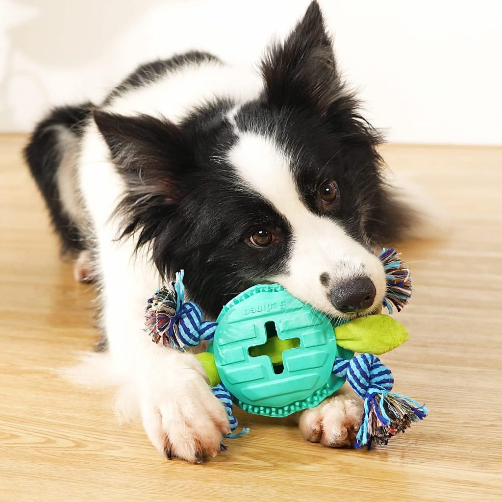 Sedioso Dog Chew Toys for Aggressive Chewers Large Breed, Tough Dog Dental Chews Toy, Dog Toothbrush Toys for Medium Large Dogs Teeth Cleaning (Green(Turtle))