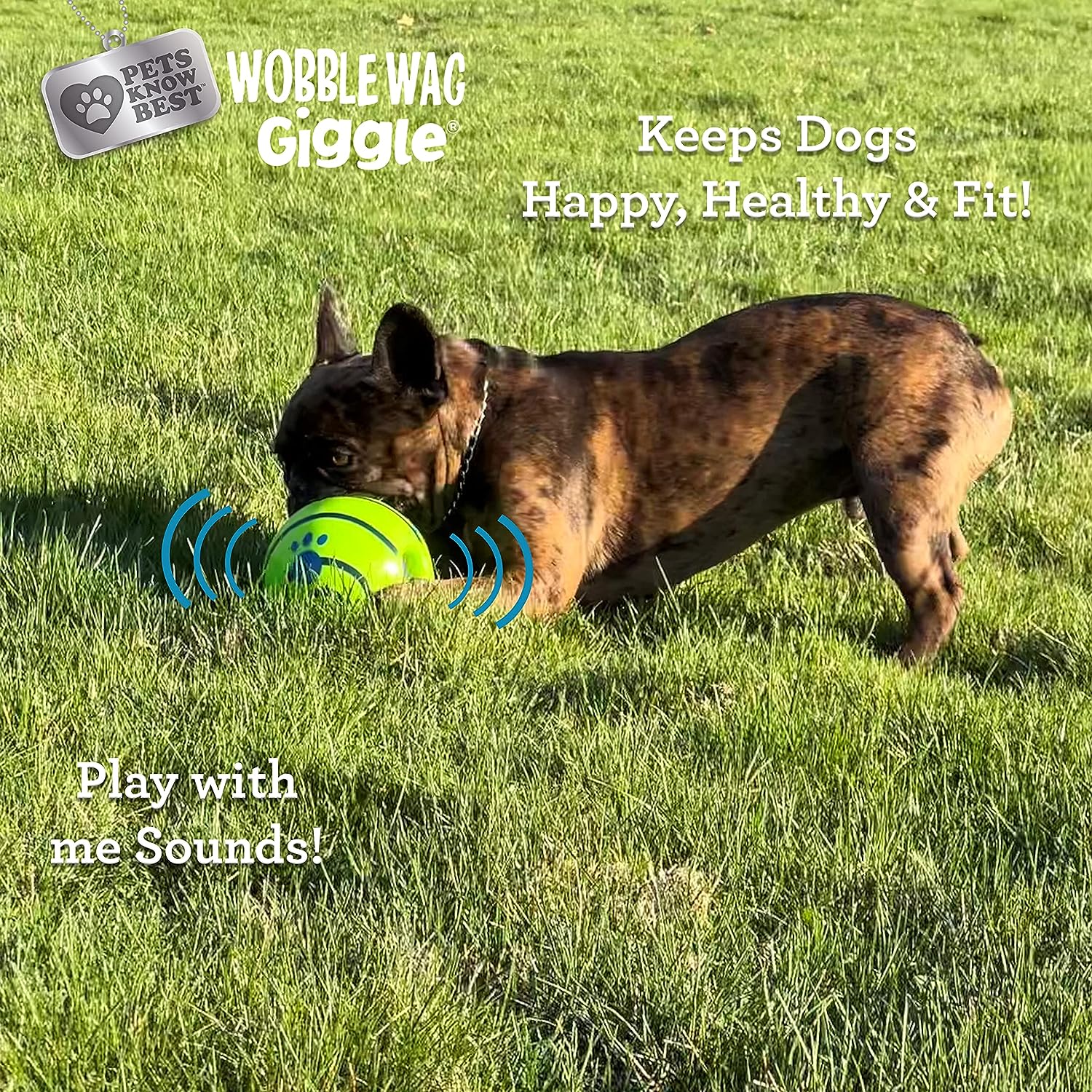 Wobble Wag Giggle Ball Review