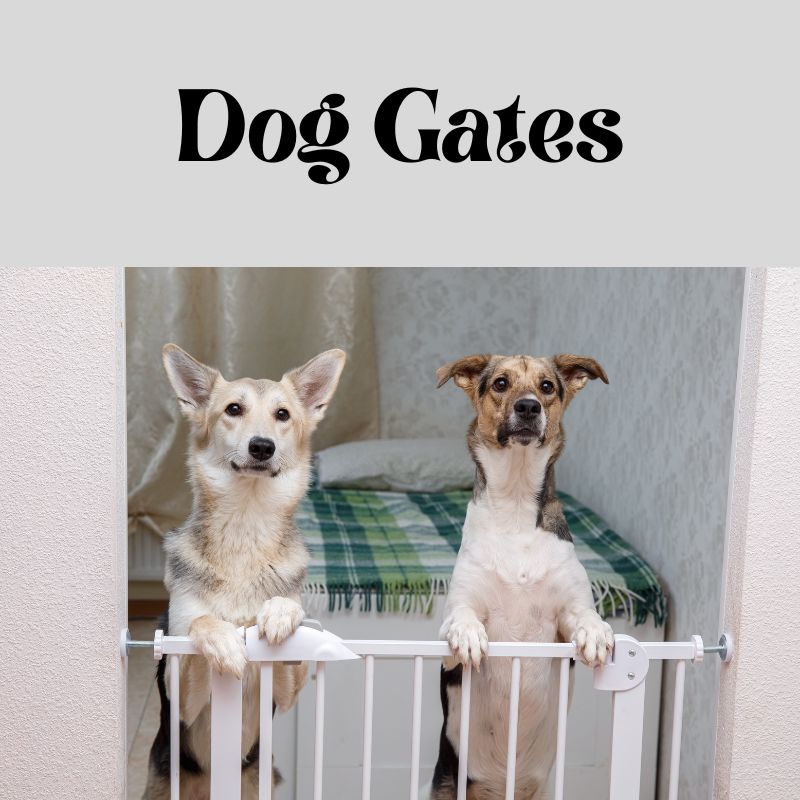 Dog-Proofing Your Space: Creating A Safe Environment For Your Pup