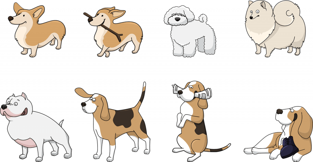 From Woof To Wellness: How Dogs Can Improve Your Mental And Physical Health