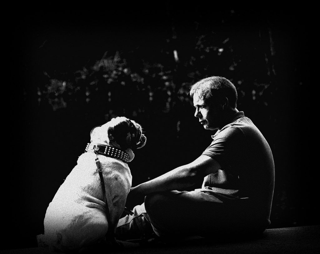 The Language Of Barks And Tail Wags: Understanding Canine Communication