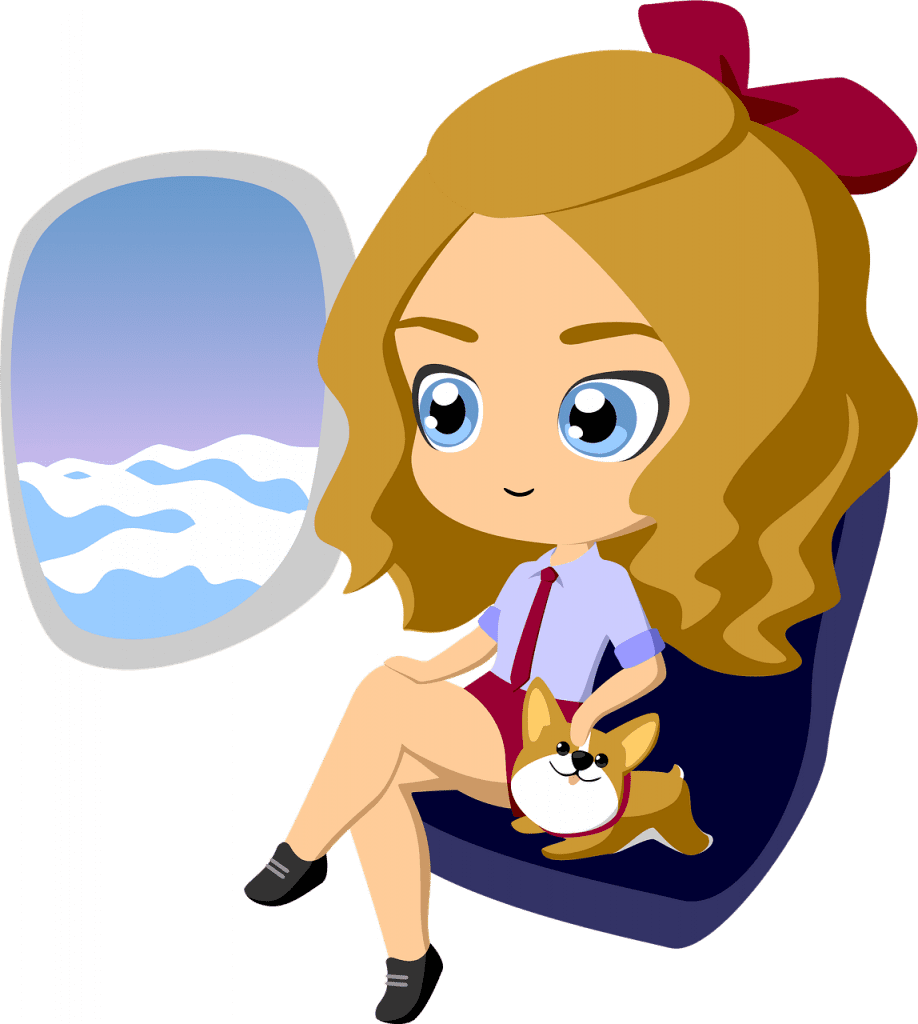 How To Travel With A Dog On A Plane?
