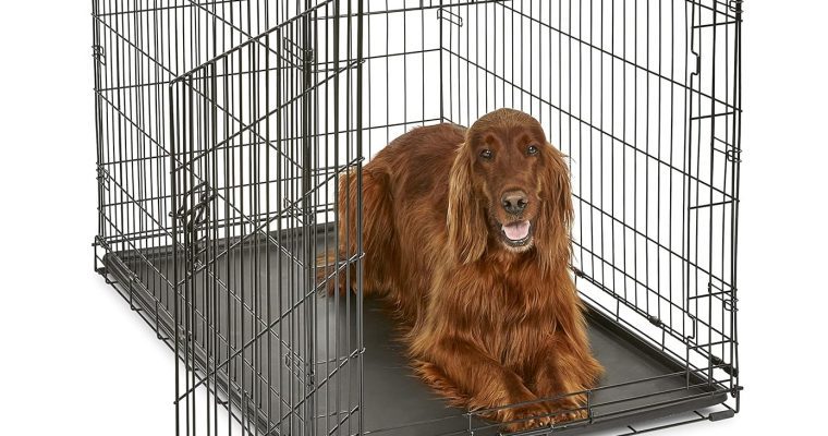 New World Dog Crate Review